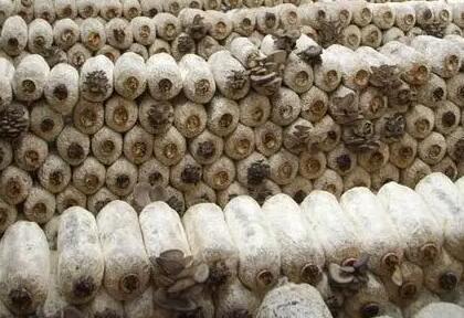 QQ截圖20220625160205.jpg QQ截圖20220625160205.jpg