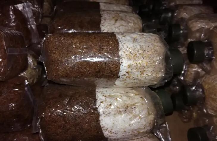 QQ截圖20220625160218.jpg QQ截圖20220625160218.jpg